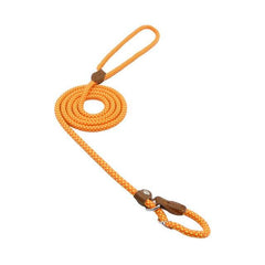 Bright orange dog leash with brown leather accents, coiled for easy storage and walking