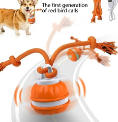Orange dog toy with rope and red bird call sound for interactive play