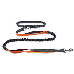 Orange and gray bungee dog leash with adjustable collar, perfect for active pets and outdoor walks
