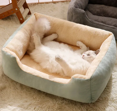 Fluffy white cat sleeping in cozy mint green pet bed, perfect for cat lovers and pet gifts