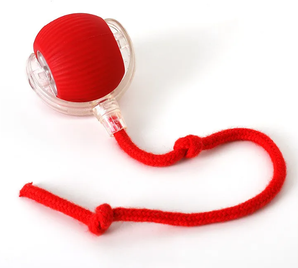 Red textured ball in clear case with knotted rope, fun family gift toy
