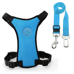 Blue mesh dog harness with paw print and matching leash for safe walks