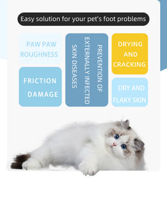Fluffy white cat with blue eyes, pet paw care solution for rough, dry, cracked skin and infections
