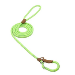 Bright green dog leash with brown leather handle and metal clasp, coiled on white background
