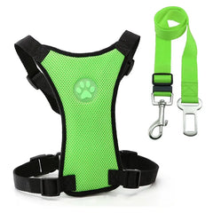 Bright green dog harness with paw print and matching leash for safe walks