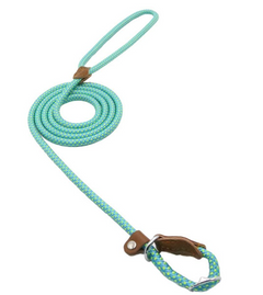 Turquoise braided dog leash with leather accents, perfect pet gift for family