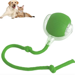 Green pet ball toy with rope for dogs and cats, interactive chew and fetch play