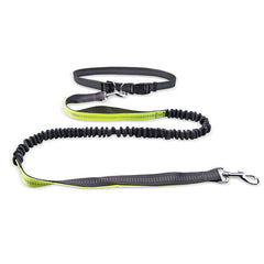 Black and neon green bungee dog leash with metal clip and adjustable handle for safe walks