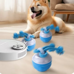 Blue interactive dog toys with fluffy tails, perfect for playful pets at home