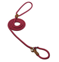 Red braided dog leash with leather accents, coiled for easy storage and handling