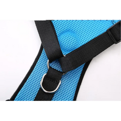 Blue mesh dog harness with black straps and metal D-ring for leash attachment