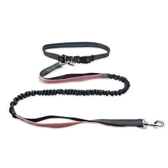 Black and pink bungee dog leash with adjustable handle and metal clips for safe walking