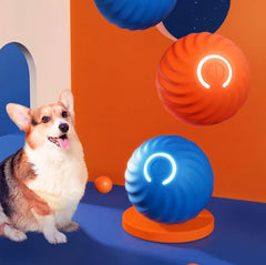 Corgi dog with colorful LED ball toys, perfect pet gifts for family fun