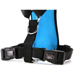 Blue and black dog harness with adjustable straps and metal buckles for comfortable pet walking