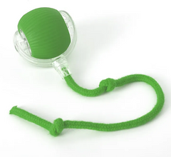 Green cat toy with clear ball and rope for interactive play and exercise