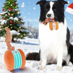 Border Collie with festive dog toy in snowy Christmas scene, perfect family gift
