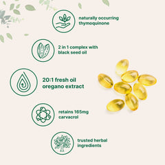Yellow herbal supplement capsules with thymoquinone, black seed oil, oregano extract, and carvacrol benefits