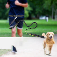 Hands-free dog leash with waist belt and bungee cord for running with golden retriever outdoors