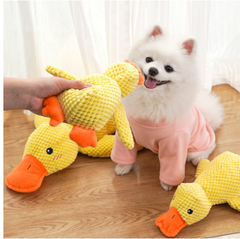 Fluffy white dog in pink outfit playing with yellow duck plush toys on wooden floor