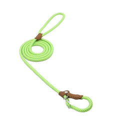 Bright green dog leash with brown leather handle and metal clasp, coiled for easy storage