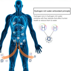 Hydrogen-rich water antioxidant benefits for human body health and wellness