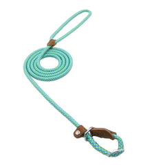 Mint green braided dog leash with leather handle and metal clasp, coiled neatly for easy storage