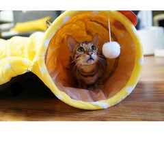 Cute cat playing in yellow polka dot tunnel toy with hanging pom-pom, perfect pet gift