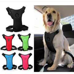 Dog car harness in black, red, green, blue, pink — safe pet travel gear for dogs