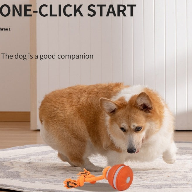 Corgi playing with orange interactive dog toy on rug, one-click start design