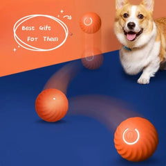 Happy corgi playing with orange interactive dog toys, perfect gift for pets