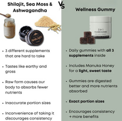 Shilajit, Sea Moss & Ashwagandha vs Wellness Gummy supplements comparison for daily health