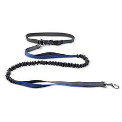 Blue and gray bungee dog leash with adjustable handle and metal clip for safe walking
